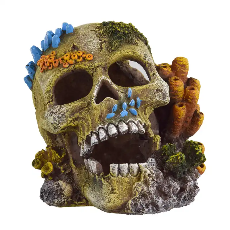Underwater Treasures REEF SKULL