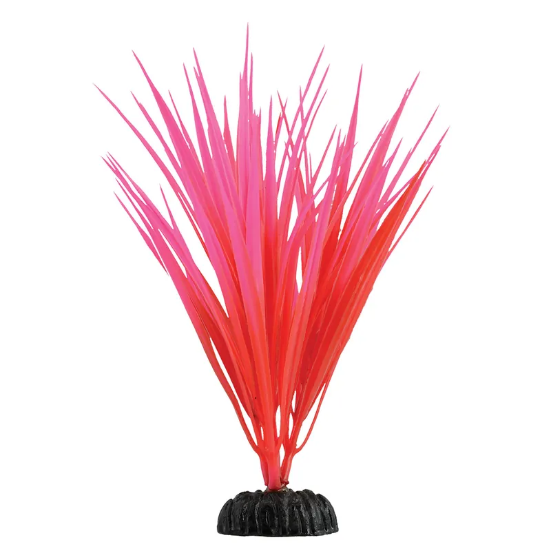 Underwater Treasures ROSE NILE GRASS 7.5 "