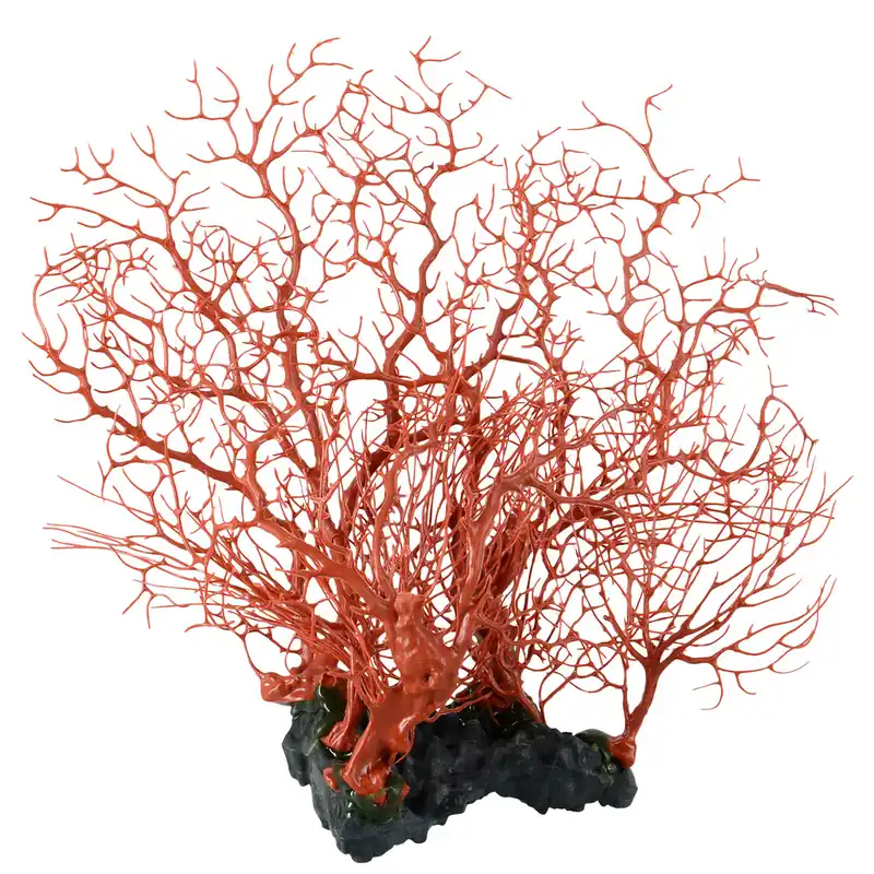 Underwater Treasures SEAFAN CLUSTER