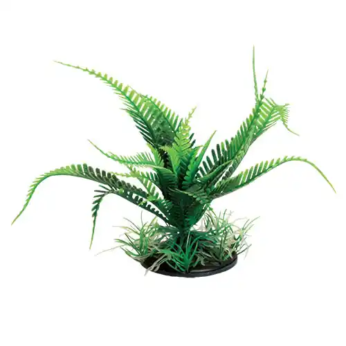 Underwater Treasures WEEPING FERN GREEN 6"