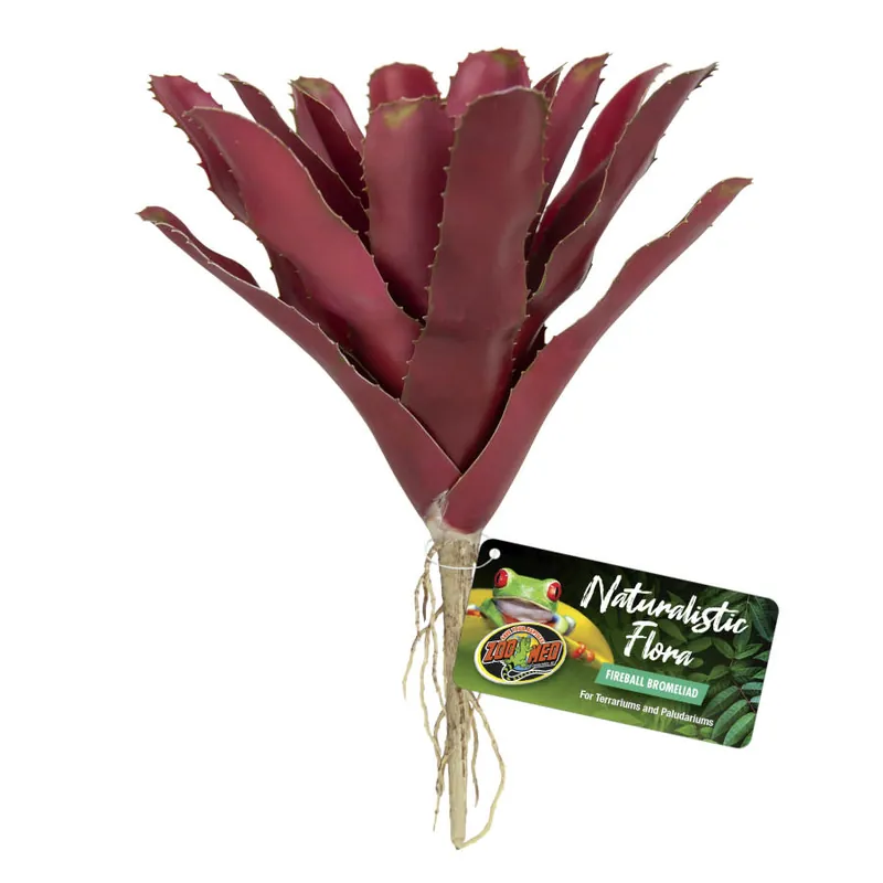 Zoo Med PLANT FIREBALL BROMELIAD