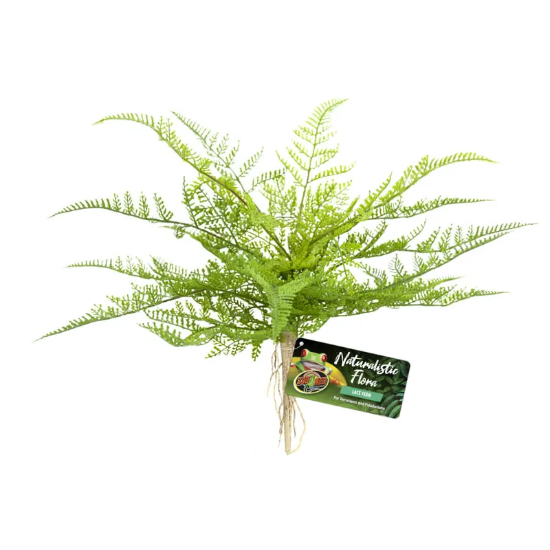 Zoo Med PLANT LACE FERN
