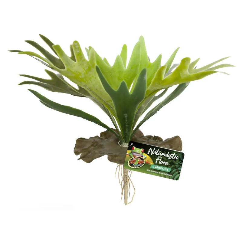 Zoo Med PLANT STAGHORN FERN