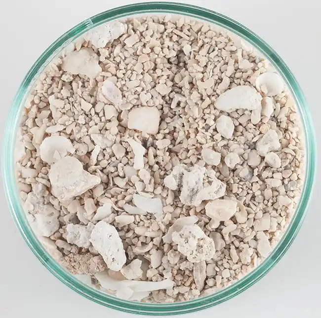 Seaflor Special Grade Dry Aragonite Reef Sand (40 lb) 1.0 - 2.0 mm - Caribsea