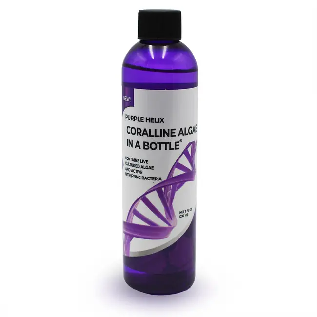 Purple Helix - Live Purple Coralline Algae in a Bottle (8 oz) - ARCReef