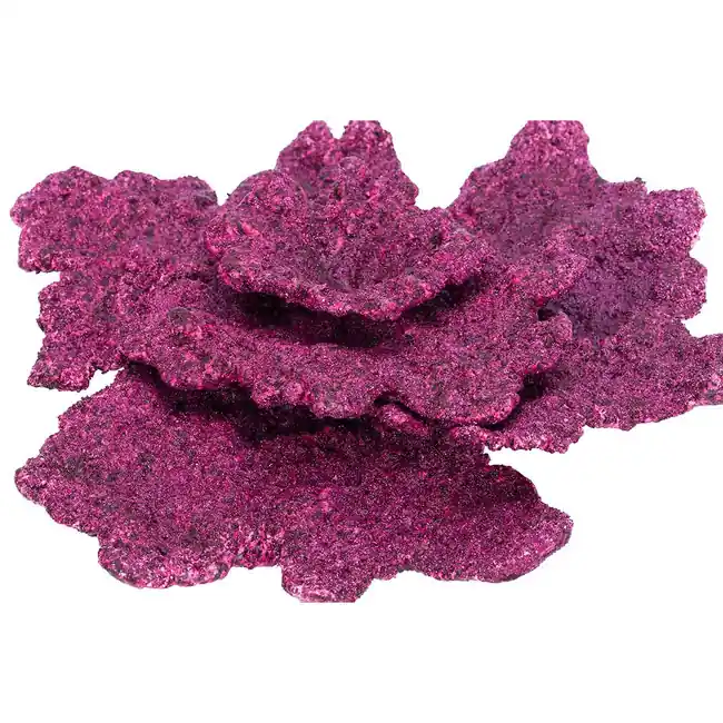 Real Reef Turbinaria Cup Plate Coral Rock (1 pc) - Real Reef