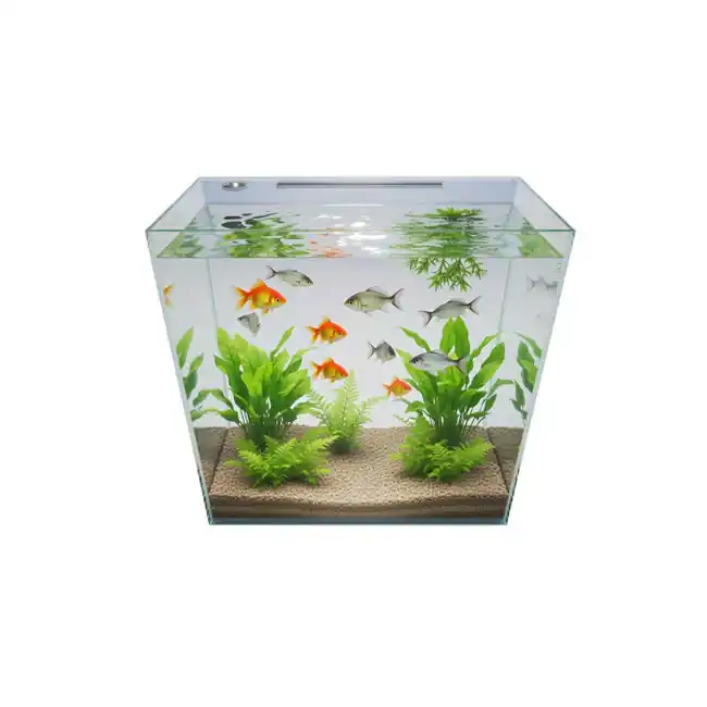 ProStar 30 Gallon Rectangular Acrylic Aquarium (24 x 13 x 24") - Pro Clear