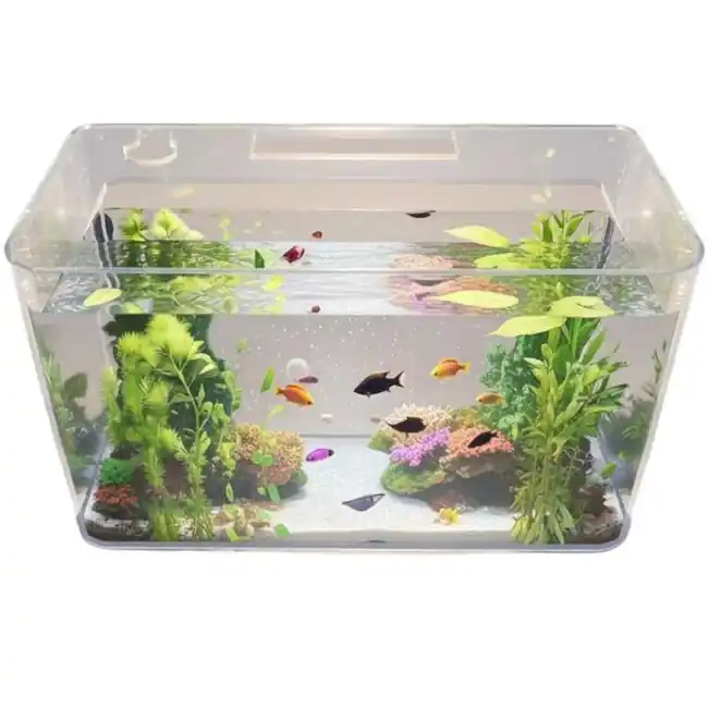 ProStar 10 Gallon Rectangular Acrylic Aquarium (20 x 10 x 12") - Pro Clear