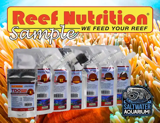 (SAMPLE) TDO-EP1 Medium 1.7mm Chroma Boost Fish Food - Reef Nutrition
