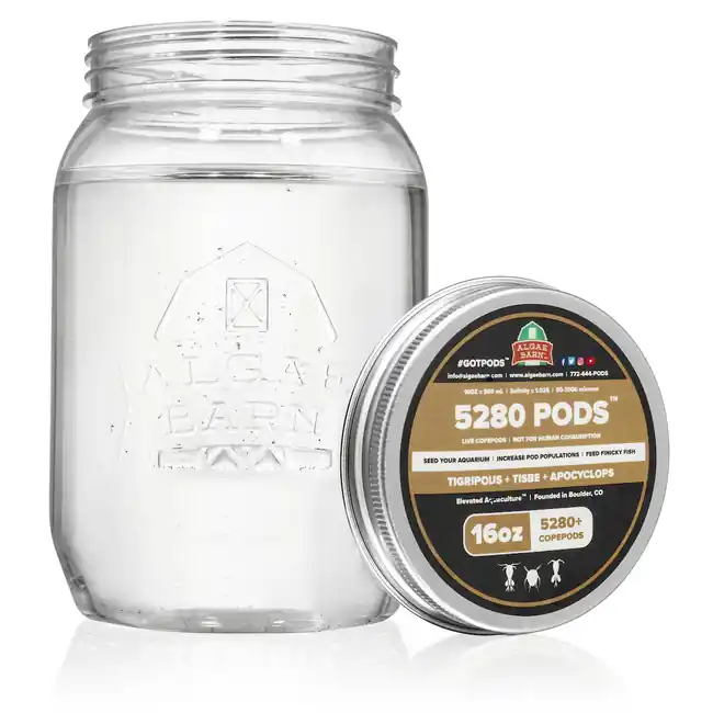 5280 Pods 5280+ (16 oz) Live Three Species Copepods Mix (Tig, Tisbee & Apo) - Algae Barn