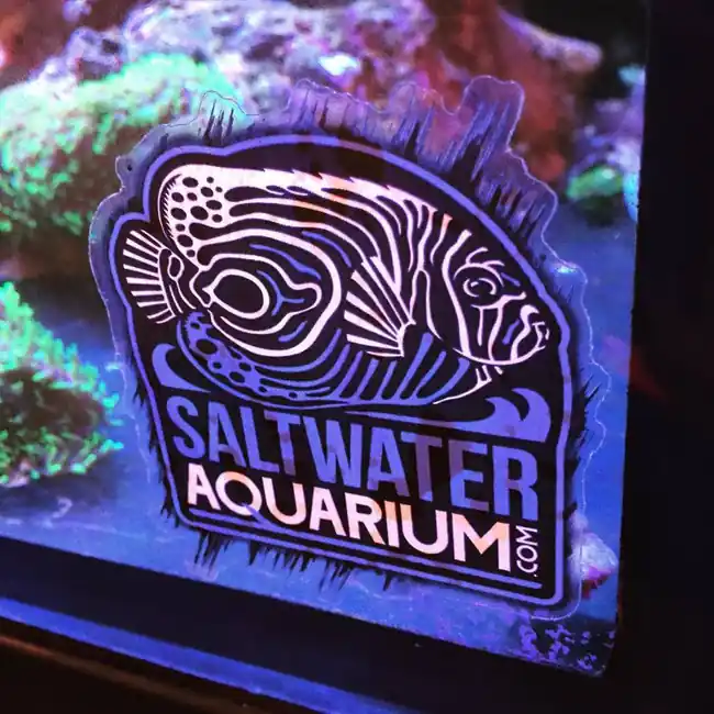 SaltwaterAquarium.com Logo Sticker on Clear (Limit 1 Free Item Per Order) (FREE OVER $20) - SAQ.com