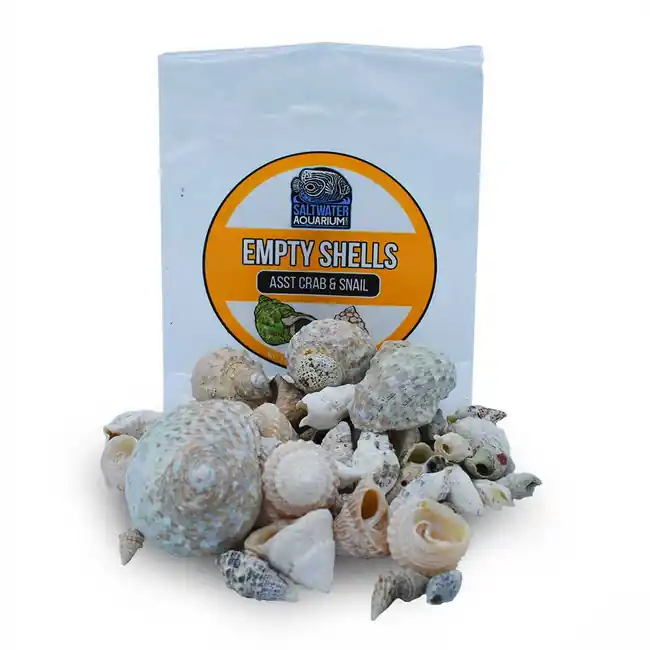 (50) Mixed Size & Shape Sterilized Aquarium Safe Empty Shells - SaltwaterAquarium