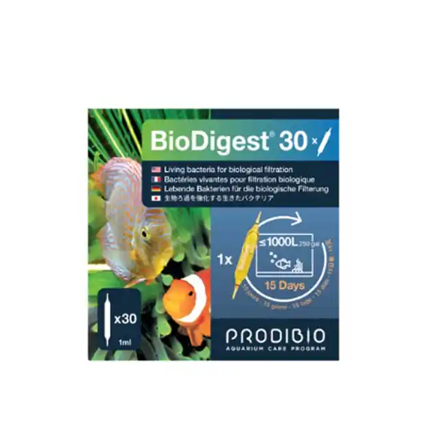 BioDigest 30 - Multi-Strain Bacteria for Biological Filtration - Prodibio