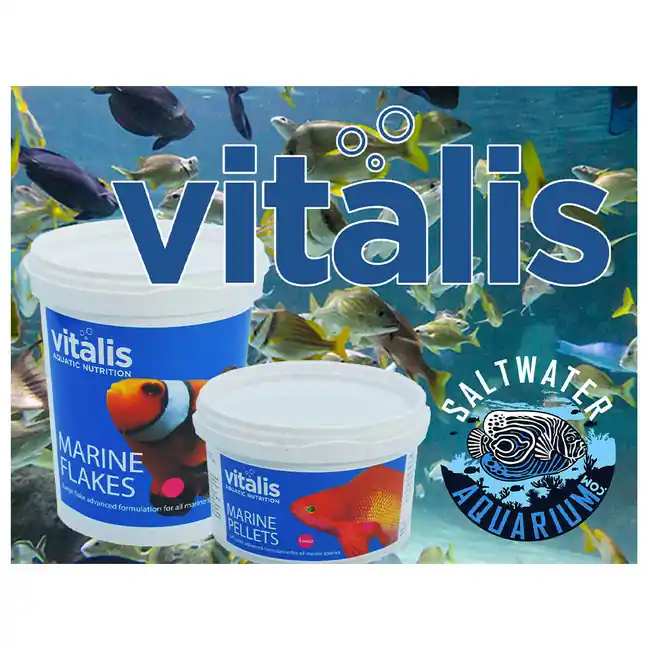 (SAMPLE) Marine Pellets and Flakes Fish Food - Vitalis