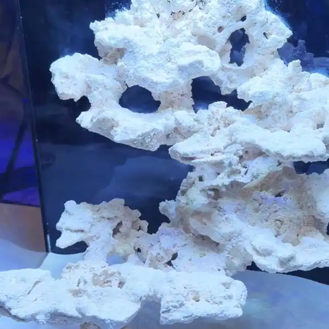 FloatScape Modular Hanging Aquarium System - Two Little Fishies