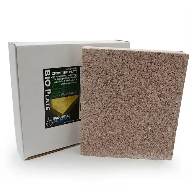 Xport BIO Plate - 9" x 8" x 1.50" - Brightwell Aquatics