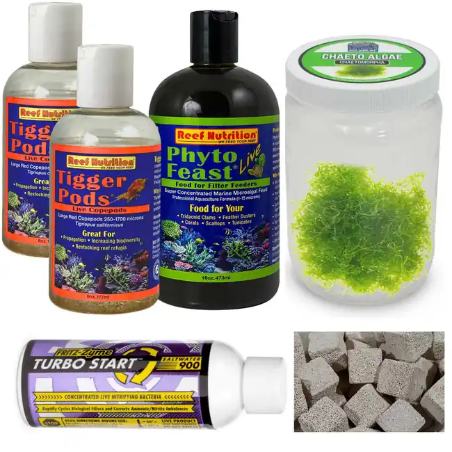 Reef Nutrition Refugium Setup Kit (Medium) - SaltwaterAquarium