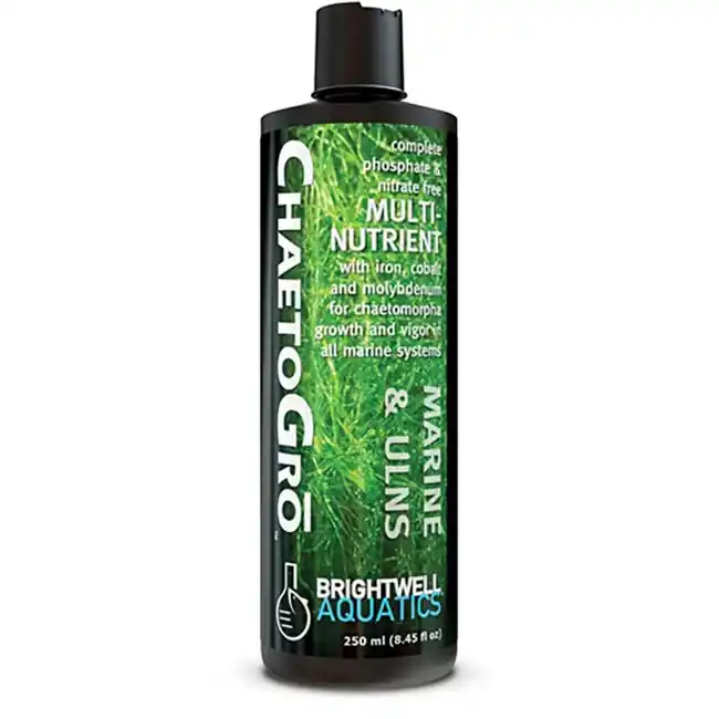 Chaeto Gro Chaetomorpha - (500 ml) - Brightwell