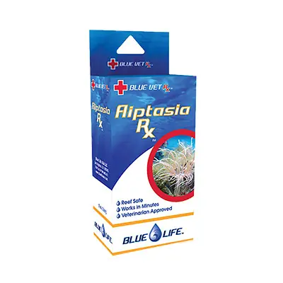 Aiptasia Rx (0.5 oz) Removes Aiptasia & Majano Anemones - Blue Life USA