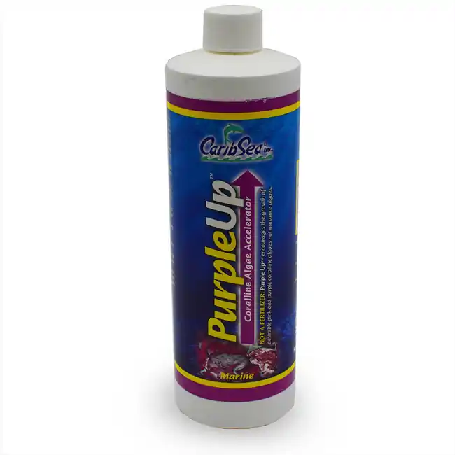 Purple Up (16 oz) - Caribsea