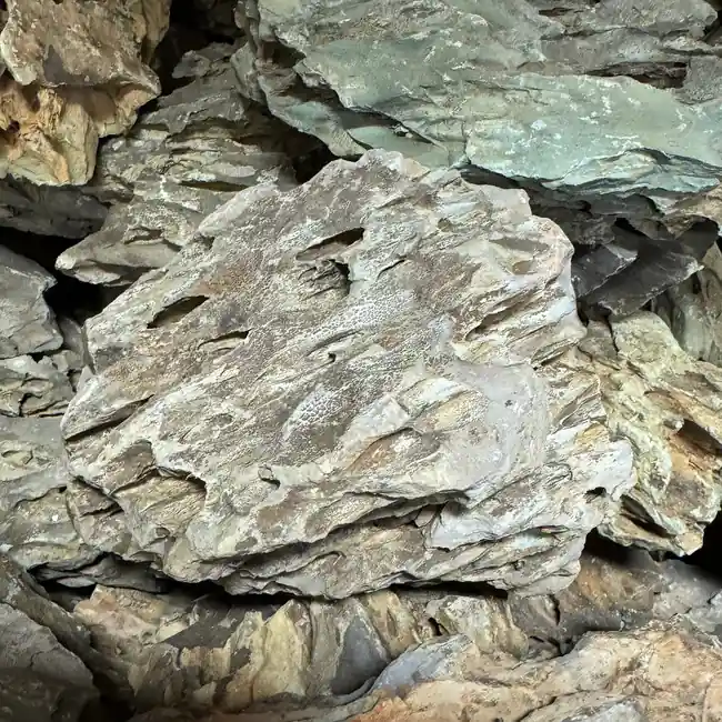 Dragon Stone Mixed Sizes (40 lbs) - Dragonstone Freshwater Rock