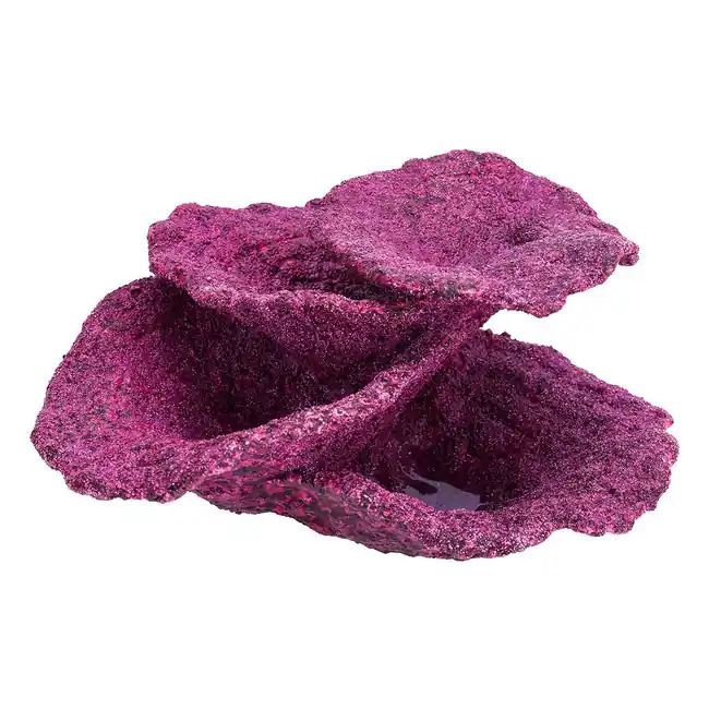 (SMALL) Mini Real Reef Turbinaria Cup Plate Coral Rock (1 piece) - Real Reef