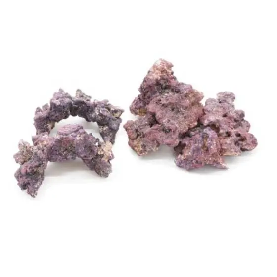 LifeRock Nano Reef Kit - Caribsea