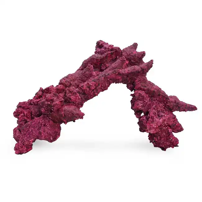 (Single FANCY Arch) Real Reef Arches - Real Reef