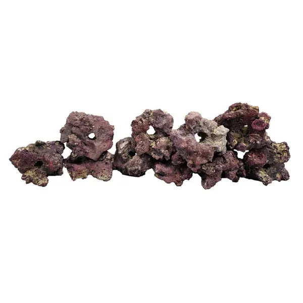 LifeRock Fraggerz - 10 Pack - Caribsea