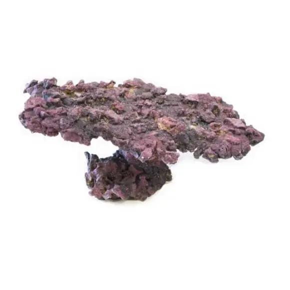 LifeRock Table Rock - Caribsea