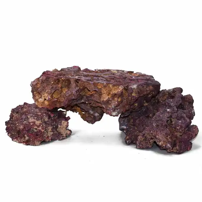 Shelf Rock Liferock Dry Live Rock (40 lb) Box - Caribsea