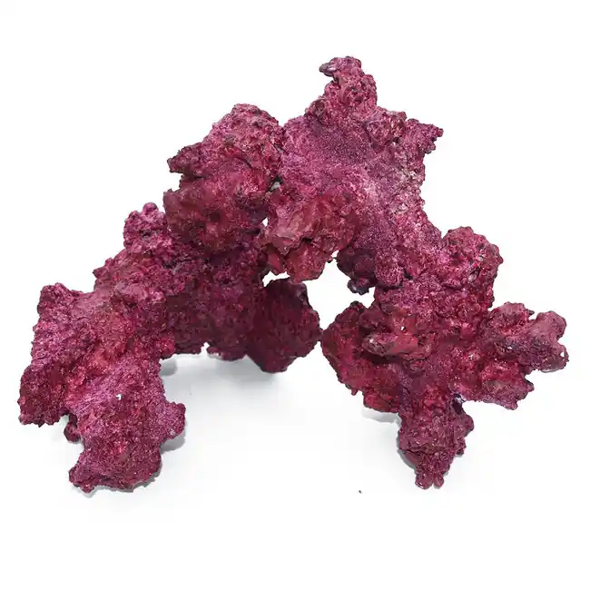 (4 Pack) Real Reef Arches Box - Real Reef