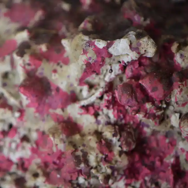 Real Reef Rock Rubble (10 lbs) - Real Reef