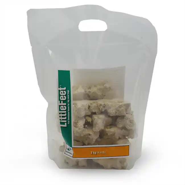 LittleFeet - Frag Bases (4.4 lbs) - Two Little Fishies