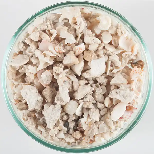 Florida Dry Crushed Coral (15 lb) 1.0 - 2.0 mm - Caribsea