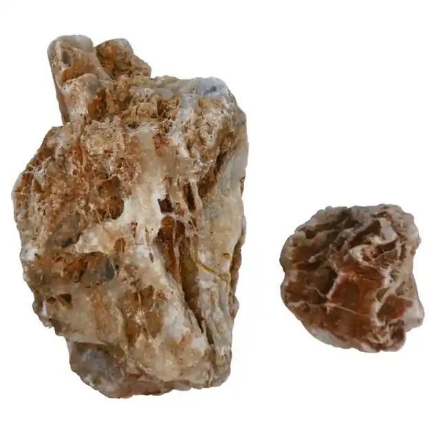 Chicken Bone Stone (44 lbs) Freshwater Rock - IceCap