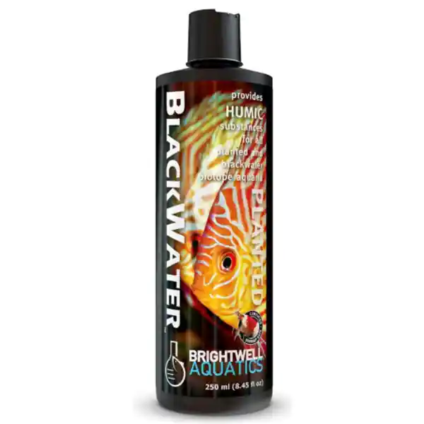 Blackwater (250mL) - Brightwell