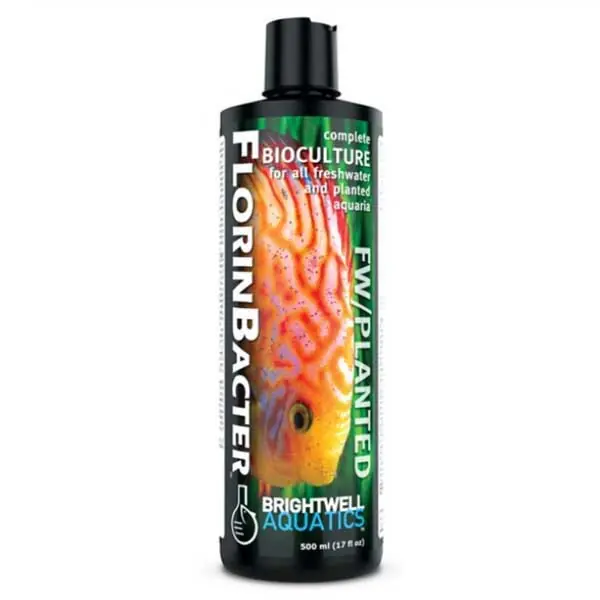 FlorinBacter7 (500mL) - Brightwell