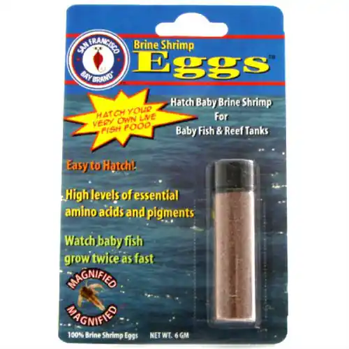 Baby Brine Shrimp Eggs Vial (6 GM) Fish Food - San Francisco Bay Brand