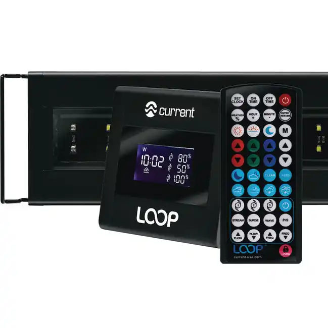 Orbit Marine 72" IC LOOP LED (4108) - Current USA