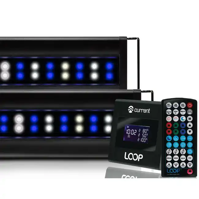 Orbit Marine 72" IC LOOP PRO Dual LED System w/HUB (4228) - Current USA