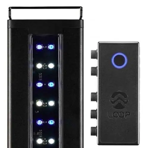 Orbit Marine 24"- 36" Bluetooth IC LOOP LED (4205) - Current USA