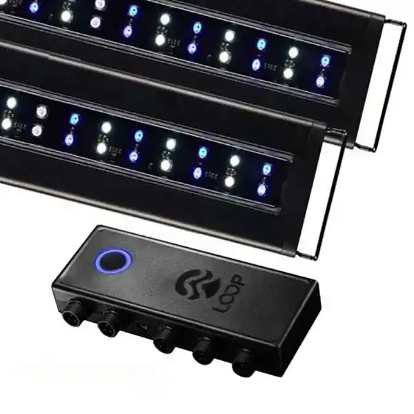 Orbit Marine 72" Bluetooth IC LOOP PRO Dual LED System (4338) - Current USA