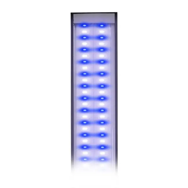 48" 50/50 Lumi Lite Pro Marine LED - Reef Brite