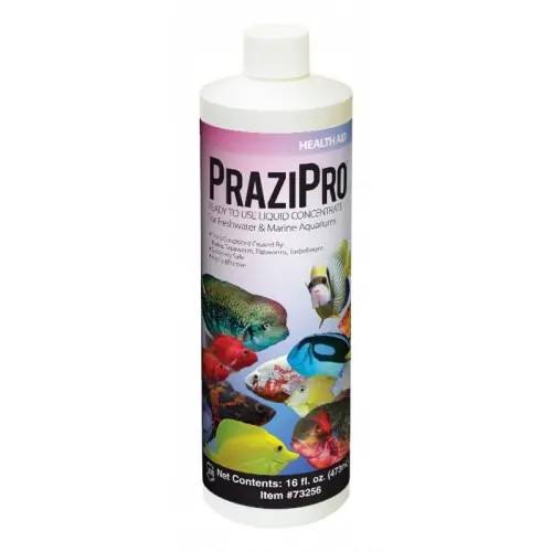 Prazipro (4 oz) Treats 480 Gallons - Hikari