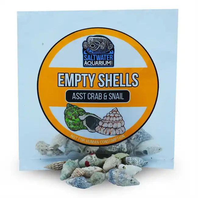 (20) Small Conical Shaped Sterilized Aquarium Safe Empty Shells - SaltwaterAquarium