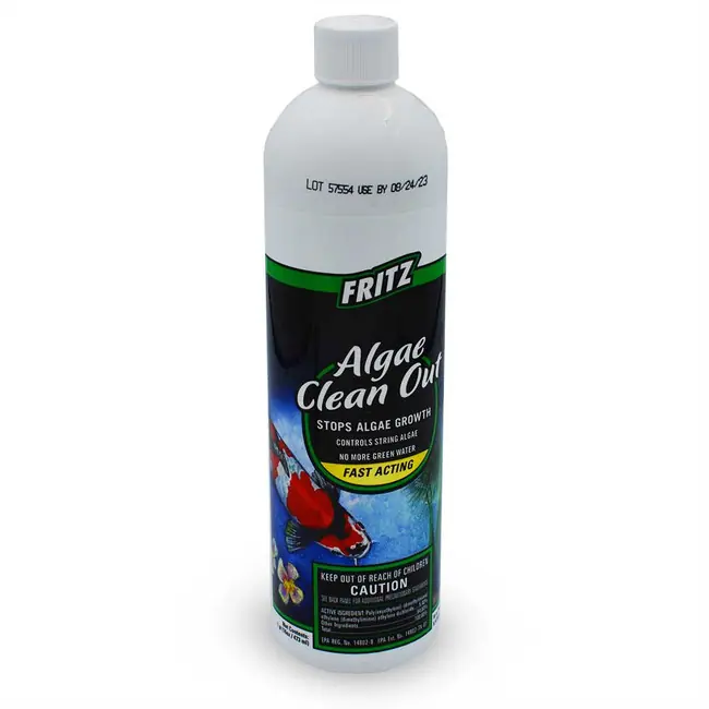 Algae Clean Out (16 oz) - Fritz Aquatics