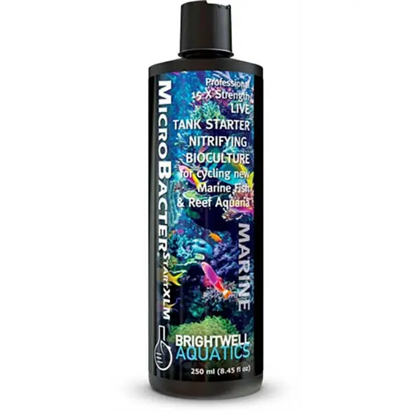 MicroBacter START XLM 15x (500 ML - 16 oz) - Brightwell
