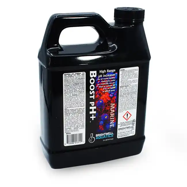 Boost pH+ Increaser (2 L) - Brightwell