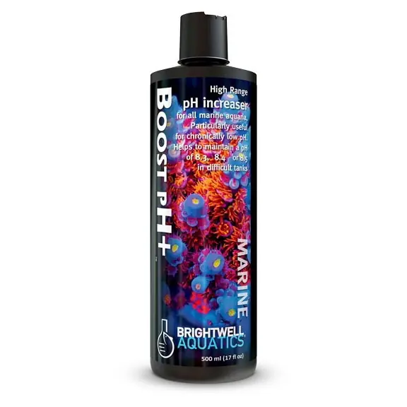 Boost pH+ Increaser (250 ml) - Brightwell